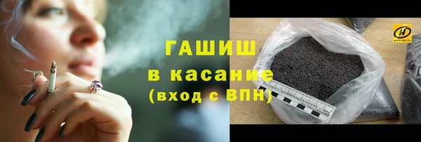 индика Сясьстрой