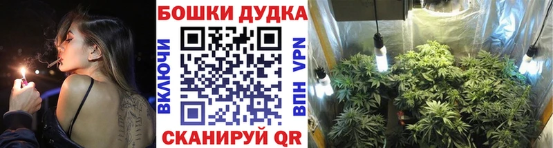 Бошки марихуана план  Краснотурьинск 